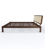 Venus Queen Bed in Brown Colour