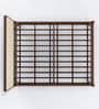 Venus Queen Bed in Brown Colour