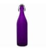 Bormioli Rocco Rocco Giara Purple Glass 1000 ML Bottle