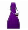 Bormioli Rocco Rocco Giara Purple Glass 1000 ML Bottle