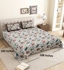 Ice Blue Floral 144 TC Cotton King Size  King Size Bedsheet With 2 Pillow Cover