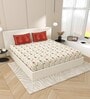 Red Traditional print 144 TC Cotton King Size  Bedsheet With 2 Pillow Cover