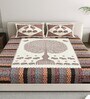 Cream And Brown Traditional 144 TC Cotton King Size  King Size Bedsheet With 2 Pillow Cover