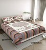 Cream And Brown Traditional 144 TC Cotton King Size  King Size Bedsheet With 2 Pillow Cover