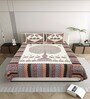 Cream And Brown Traditional 144 TC Cotton King Size  King Size Bedsheet With 2 Pillow Cover