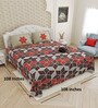 Red Traditional print 144 TC Cotton King Size  Bedsheet With 2 Pillow Cover