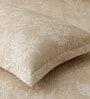 Honey Beige Metro 186 TC Cotton King Bedsheet With 2 Pillow Covers