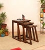 Honey-I Nest of Tables (Set of 3) in Teakwood with Walnut Matte Finish