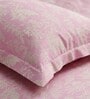 Honey Pink Metro 186 TC Cotton King Bedsheet With 2 Pillow Covers