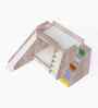 Hop N  Slide Bed Multicolor Staircase Storage & Animal print at the back