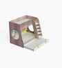 Hop on Top Bunk Bed  With White Drawers Storage, Ladder & Animal Print