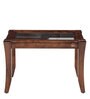 Hopper End Table in Brown Colour