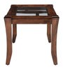 Hopper End Table in Brown Colour
