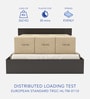 Horae King Size Bed in Wenge Finish with Headboard & Box Storage