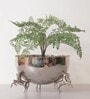 Grey Brass Horse Bowl
