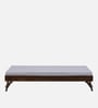 Horten Sheesham Wood Trundle Bed In Provincial Teak Finish