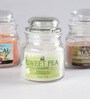 Set of 3 Rustic Sandalwood Tropical Aroma Wax Scented Candles