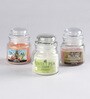 Set of 3 Rustic Sandalwood Tropical Aroma Wax Scented Candles