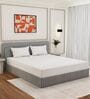 White Solid 180 TC Polyester King Sized Bedsheet With 2 Pillow Covers