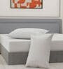 White Solid 180 TC Polyester King Sized Bedsheet With 2 Pillow Covers