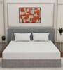 White Solid 180 TC Polyester King Sized Bedsheet With 2 Pillow Covers