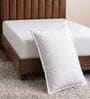 White Solid 180 TC Polyester Bedsheet With Single Size Bedsheet With 1 Pillow Cover