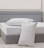 White Solid 210 TC Cotton Single Size Bedsheet With 1 Pillow Cover