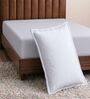 White Solid 210 TC Cotton Bedsheet With Single Size Bedsheet With 1 Pillow Cover