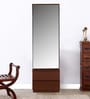 Houston Dressing Table with Mirror in Walnut Finish