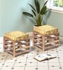 Houston Stool Set Of 2 In Green Sparkle Colour