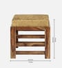 Houston Stool Set Of 2 In Green Sparkle Colour