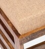 Houston Stool Set Of 2 In Jute Beige Colour