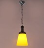 Vian Hsaka Black Iron Hanging Light