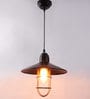 Feliz Hsaka Black Iron Hanging Light