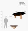 Hugo Coffee Table With Brown Tinted Glass In Oak  Finish