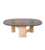 Hugo Coffee Table With Brown Tinted Glass In Oak  Finish