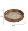 Hummingbird Garden Round Tray for Kitchen Organization