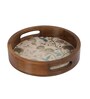 Hummingbird Garden Round Tray for Kitchen Organization