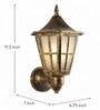 Hurricane Antique Gold Vintage Outdoor Light Set of 1