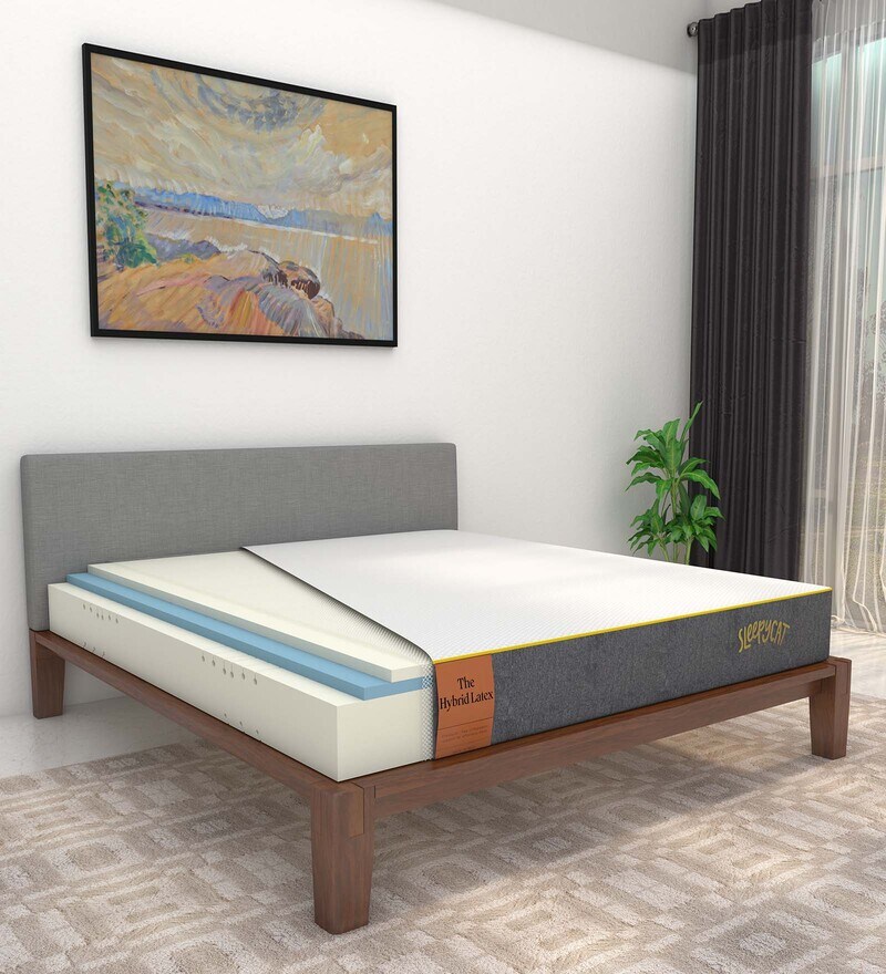 Buy Hybrid 6 Inch Latex Orthopedic Queen Size Mattress By SleepyCat