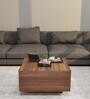 Hyde Coffee Table with Storage In Leon Teak Finish