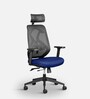 Hydra High Back Ergonomic Chair With Headrest in Blue