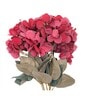 Hydrangea Maroon Plastic Artificial Flower