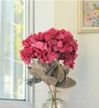 Hydrangea Maroon Plastic Artificial Flower