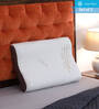 I-Bamboo Contoura Memory Foam 24x16 Inch Pillow (Set of 2)
