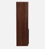 Ibis Book Shelf in Dual Tone Finish