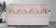Icerag Pull-Out Sofa Cum Bed with Storage in Matte Ivory Finish