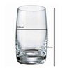 Ideal 250ml (Set of 6) Everyday Glass