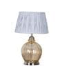 Idonia Metal & Glass Table Lamp (Nickel & Amber)