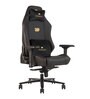 Blaze Gaming Chair in Black & Gold Colour